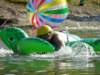 2011HWK 431_small.jpg